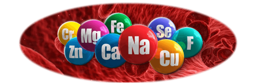Micronutrients, vitamins, minerals
